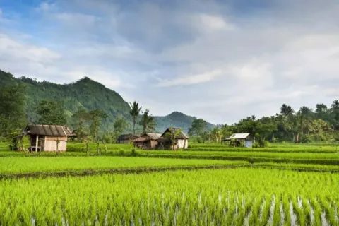 Land in Karangasem, Karang Asem, Indonesia No. 10809 2
