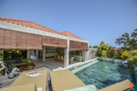 Вилла с 12 спальнями в Seminyak, Бадунг, Индонезия № 10811 2