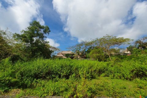 Land in Kuta, Badung, Indonesia No. 11507 4