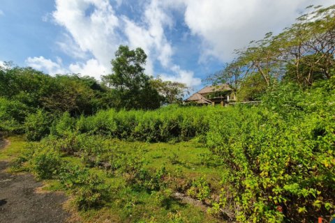 Land in Kuta, Badung, Indonesia No. 11507 3