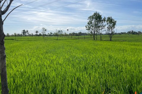 Land in Tabanan, Indonesia No. 11512 4