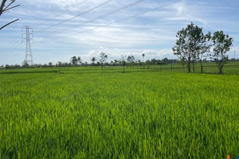 Land in Tabanan, Indonesia No. 11512 3