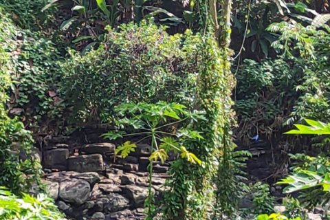 Land in Tabanan, Indonesia No. 11513 4