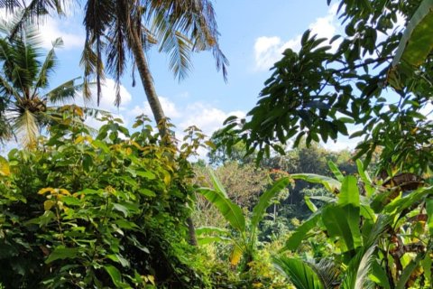 Land in Tabanan, Indonesia No. 11513 2
