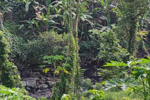 Land in Tabanan, Indonesia No. 11513 5