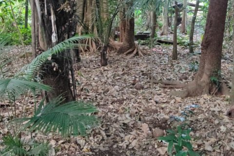 Land in Tabanan, Indonesia No. 11513 3