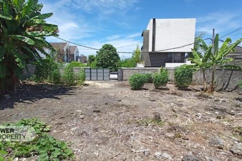 600m2 Land in Canggu, Badung, Indonesia No. 9464 2