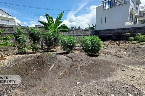 600m2 Land in Canggu, Badung, Indonesia No. 9464