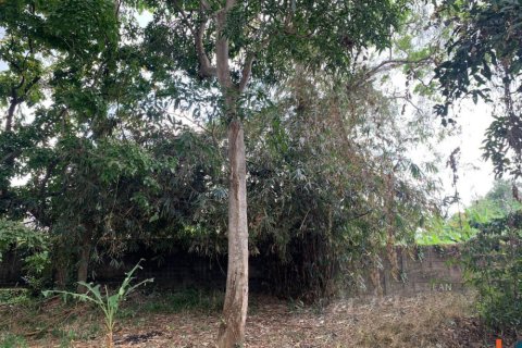 Land in Denpasar, Indonesia No. 10883