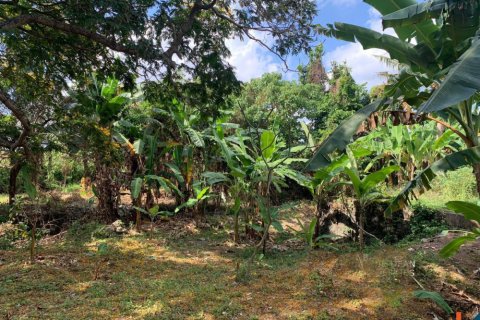 Land in Denpasar, Indonesia No. 10883 2