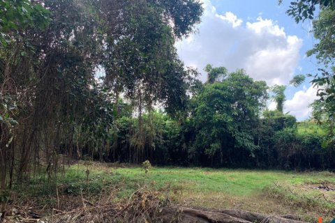 Land in Denpasar, Indonesia No. 10883 9