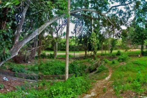 Land in Denpasar, Indonesia No. 10883 3