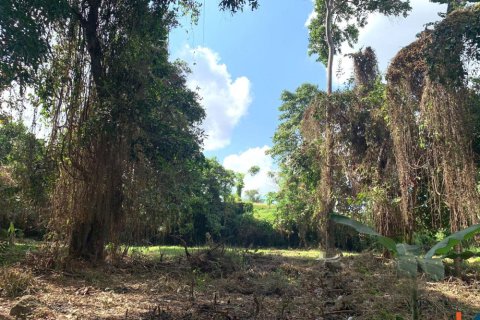 Land in Denpasar, Indonesia No. 10883 7