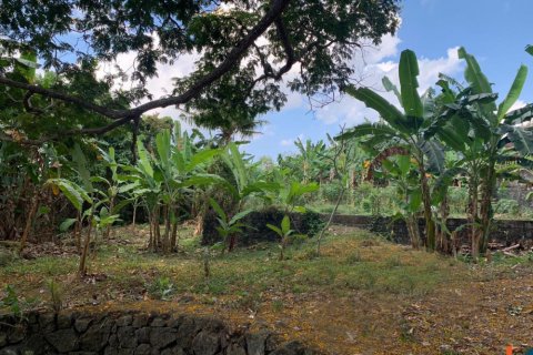 Land in Denpasar, Indonesia No. 10883 8