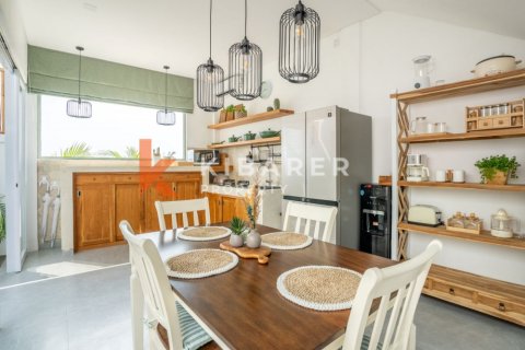 2 bedrooms Villa in Munggu, Mengwi, Badung, Indonesia No. 11944 4