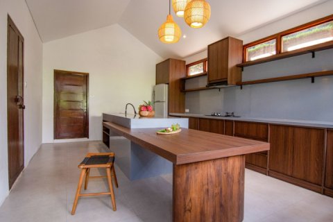 Вилла с 4 спальнями в Canggu, Бадунг, Индонезия № 7572 8