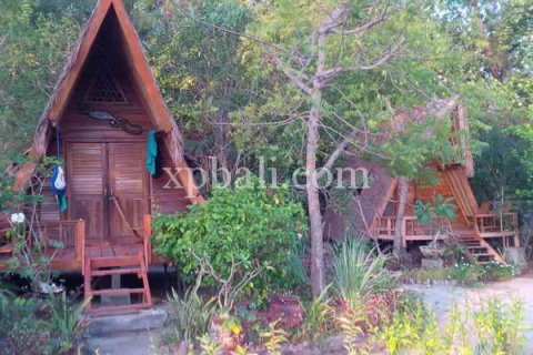 Земельный участок 6005м2 в Gili Meno, Гили-Индах, Северный Ломбок, Индонезия № 7925 9