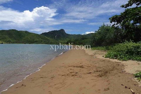20000m2 Land in Indonesia No. 7922