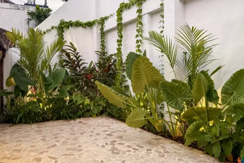 1 bedroom Villa in South Denpasar, Denpasar, Indonesia No. 10432 3