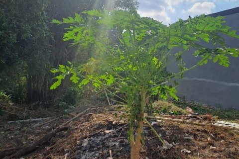 540m2 Land in Seminyak, Badung, Indonesia No. 8146 5