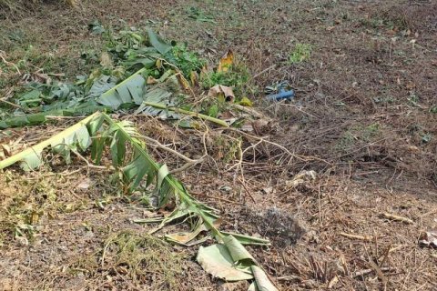 540m2 Land in Seminyak, Badung, Indonesia No. 8146 14
