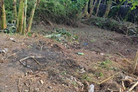 540m2 Land in Seminyak, Badung, Indonesia No. 8146 8