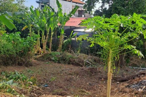 540m2 Land in Seminyak, Badung, Indonesia No. 8146 4