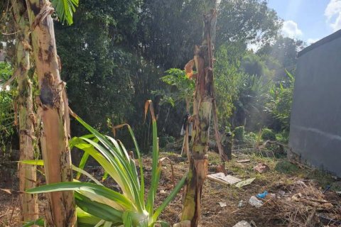540m2 Land in Seminyak, Badung, Indonesia No. 8146 1