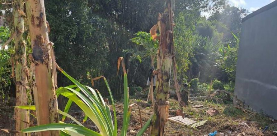 540m2 Land in Seminyak, Badung, Indonesia No. 8146