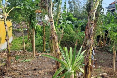 540m2 Land in Seminyak, Badung, Indonesia No. 8146 7