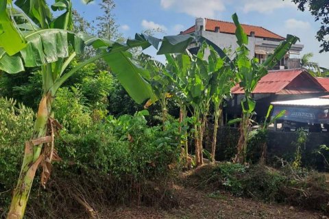 540m2 Land in Seminyak, Badung, Indonesia No. 8146 6