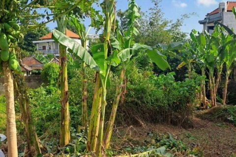 540m2 Land in Seminyak, Badung, Indonesia No. 8146 3
