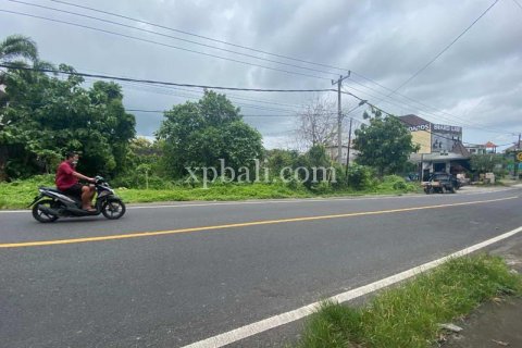650m2 Land in South Kuta, Badung, Indonesia No. 7852