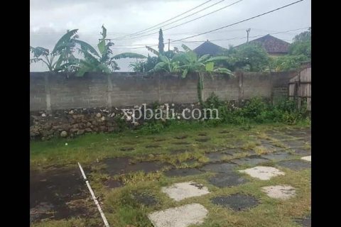 3800m2 Land in Lovina, Anturan, Buleleng, Indonesia No. 7851 2