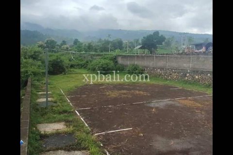 3800m2 Land in Lovina, Anturan, Buleleng, Indonesia No. 7851 4