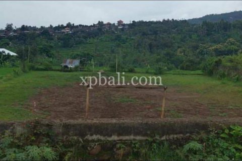 3800m2 Land in Lovina, Anturan, Buleleng, Indonesia No. 7851 7