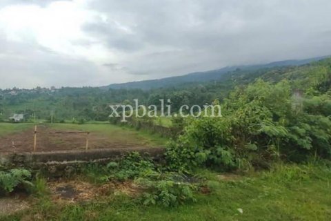 3800m2 Land in Lovina, Anturan, Buleleng, Indonesia No. 7851 10