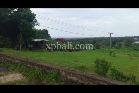3800m2 Land in Lovina, Anturan, Buleleng, Indonesia No. 7851 5