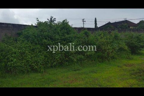 3800m2 Land in Lovina, Anturan, Buleleng, Indonesia No. 7851 3
