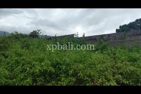 3800m2 Land in Lovina, Anturan, Buleleng, Indonesia No. 7851 6
