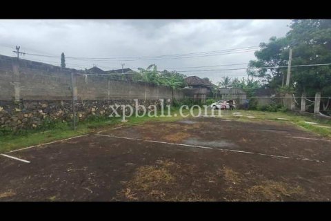 3800m2 Land in Lovina, Anturan, Buleleng, Indonesia No. 7851 8
