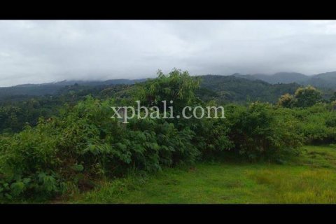 3800m2 Land in Lovina, Anturan, Buleleng, Indonesia No. 7851 9