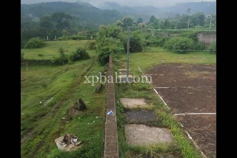 3800m2 Land in Lovina, Anturan, Buleleng, Indonesia No. 7851