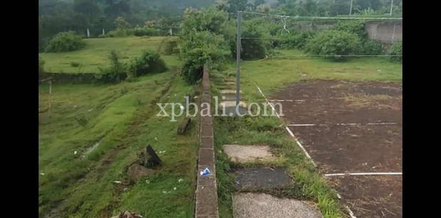 3800m2 Land in Lovina, Anturan, Buleleng, Indonesia No. 7851