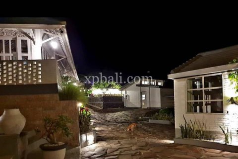 5 bedrooms Villa in Indonesia No. 7850 22
