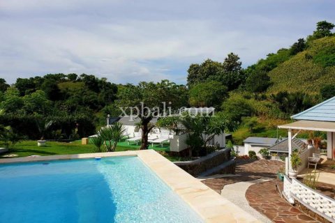 5 bedrooms Villa in Indonesia No. 7850 17