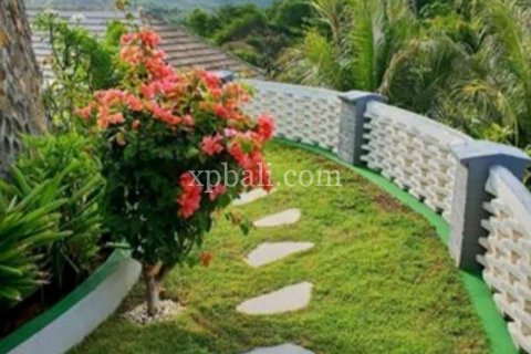 5 bedrooms Villa in Indonesia No. 7850 28