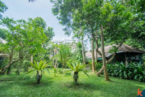 700m2 Land in Seminyak, Badung, Indonesia No. 11645 23