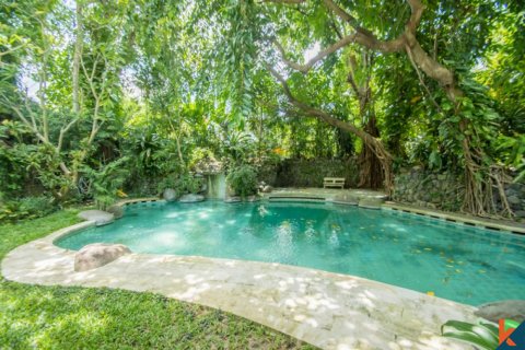 700m2 Land in Seminyak, Badung, Indonesia No. 11645 4