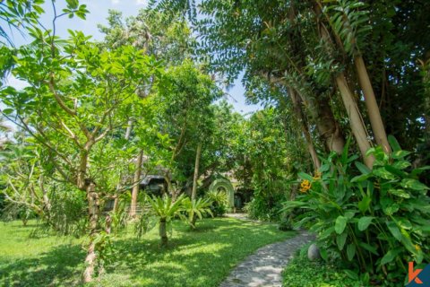 700m2 Land in Seminyak, Badung, Indonesia No. 11645 11